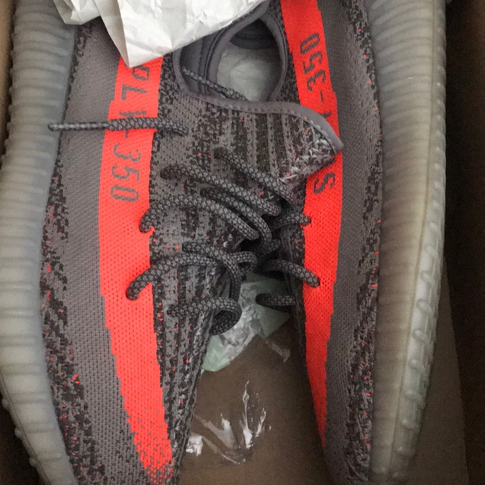 Beluga